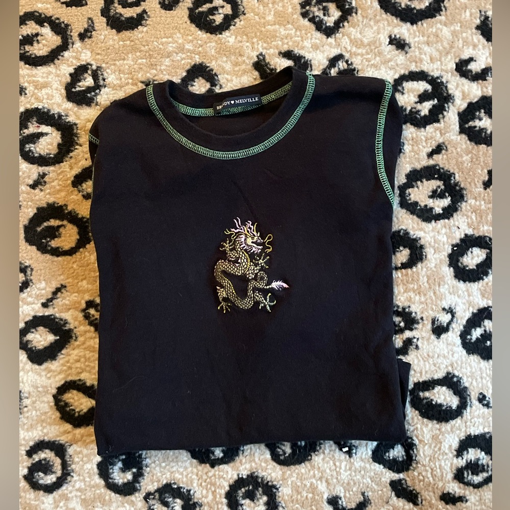Brandy Melville Embroidered Cropped Long Sleeve 🐉🌼